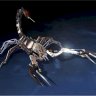 Scorpion42