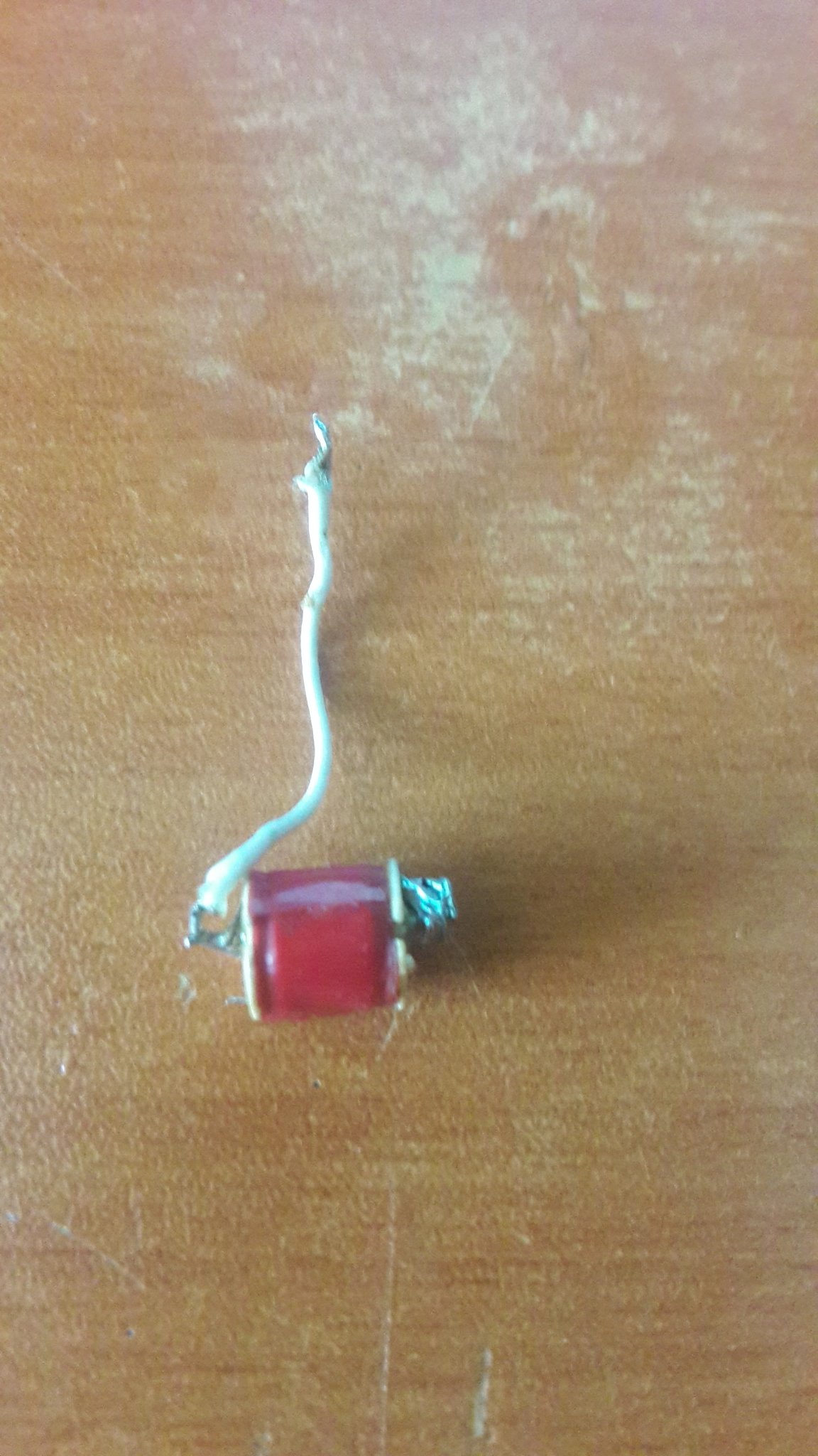 20200919_134211.jpg