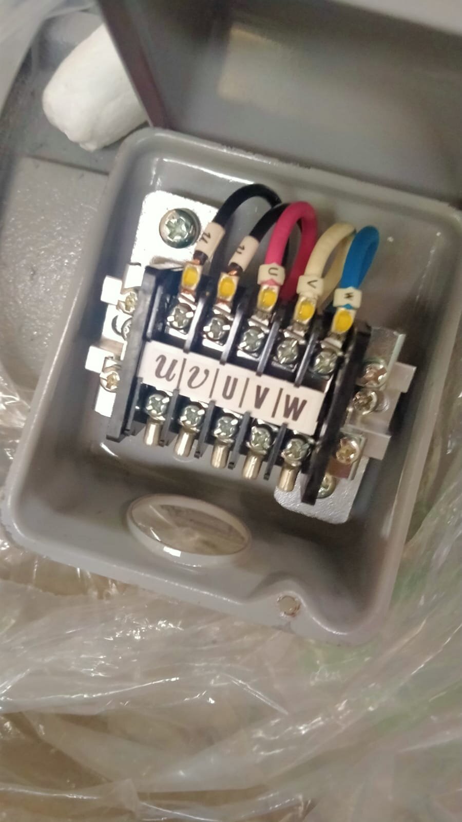 motor11.jpeg