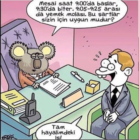 n1ttsp0.jpg