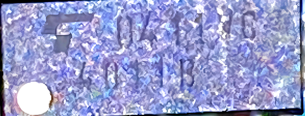 p.png