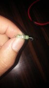 IMG-20190425-WA0009.jpeg