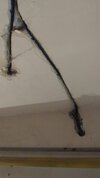 20200915_114629.jpg