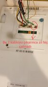 20201017_124353.jpg