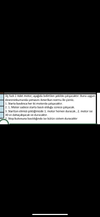 AAE3DB70-A650-4BF1-A972-95F521CFA778.png