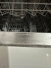 IMG_6762.jpeg