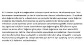 RCD ye Sigorta.jpg