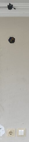 IMG_5092.jpeg
