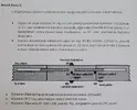 IMG-20250327-WA0031.webp