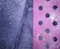 Snapshot000000.webp