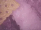 bandicam 2025-08-10 14-38-40-955.webp