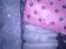 bandicam 2025-08-10 14-34-07-383.webp