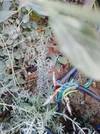 IMG_20251001_094337.webp