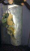IMAG0853.jpg