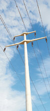 201006d08t206.jpg