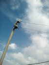 IMG_20171220_145539.jpg