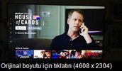 ImageThumbnail2.jpg