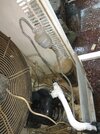 15452075887223659707487531123388.jpg