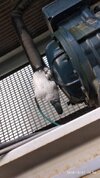 IMG_20181221_145431.jpg