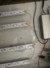 IMG_20190301_013444.jpg